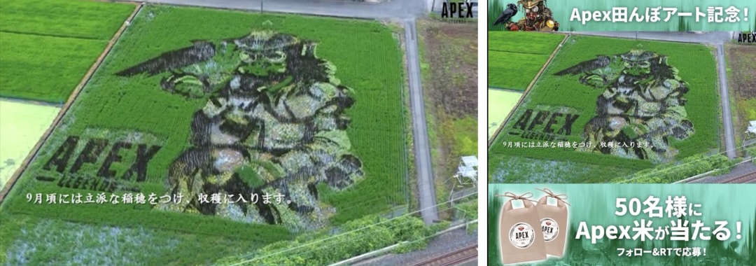 1663661403661958.png 的6.png