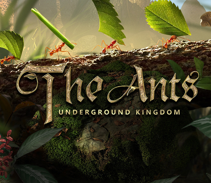 1664251613893341.png 发5.png