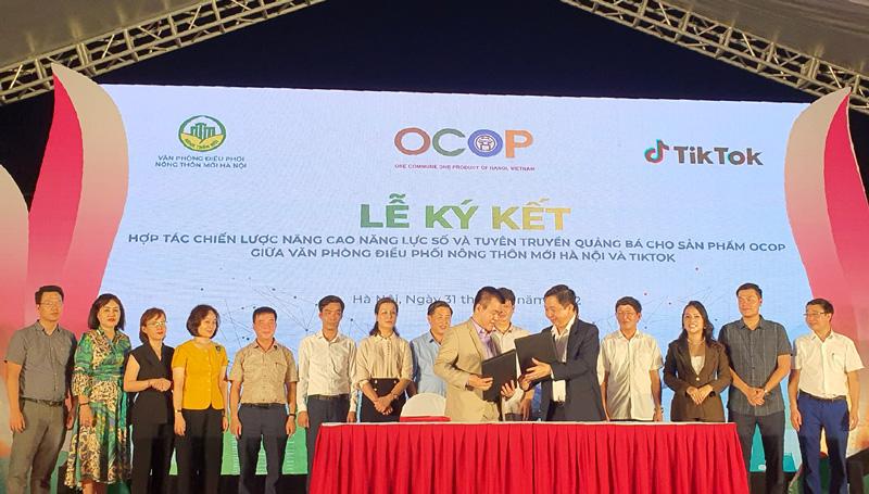 1667965288556813.jpg 3.jpg