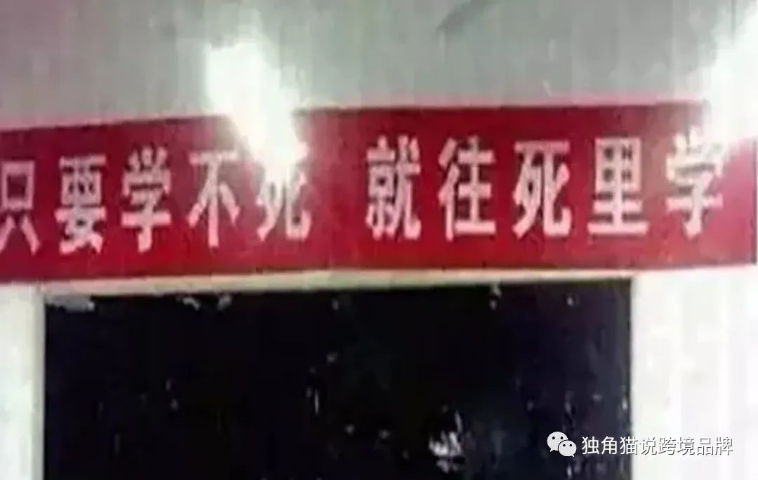 1668650969431125.jpg 5.jpg