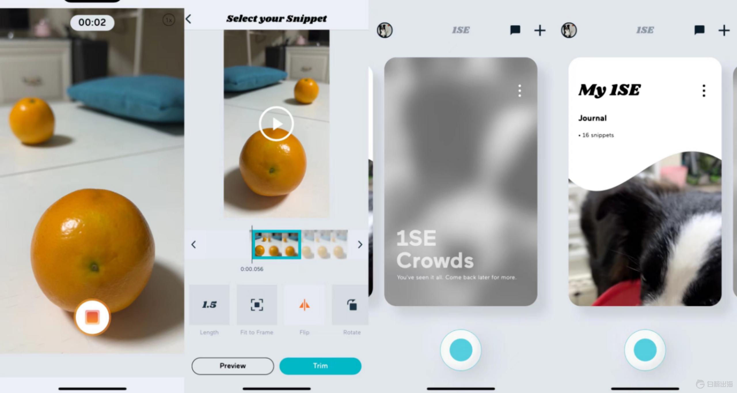 1668690672576605.gif image.gif