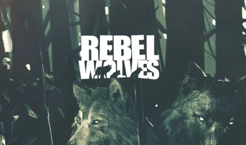 1669272875939536.png 发2.png