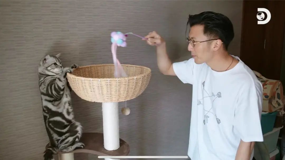 1669631730326717.jpg 6.jpg