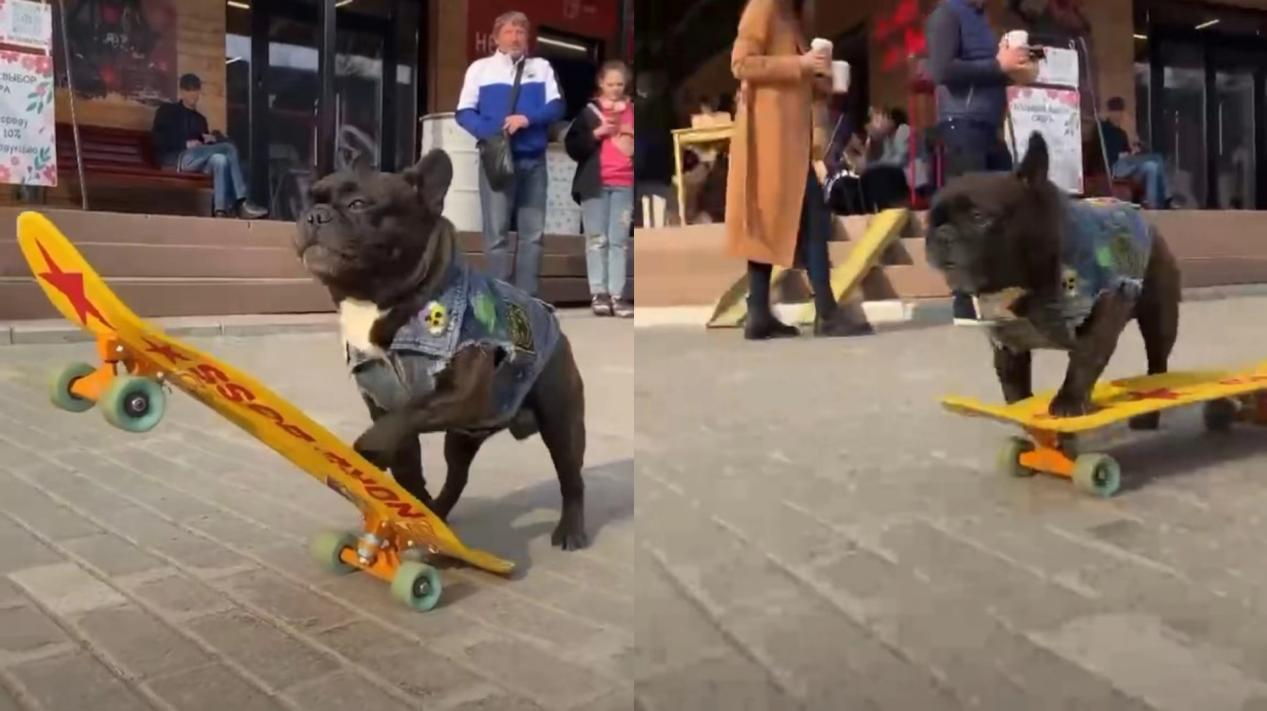 1669963048251632.png image.png