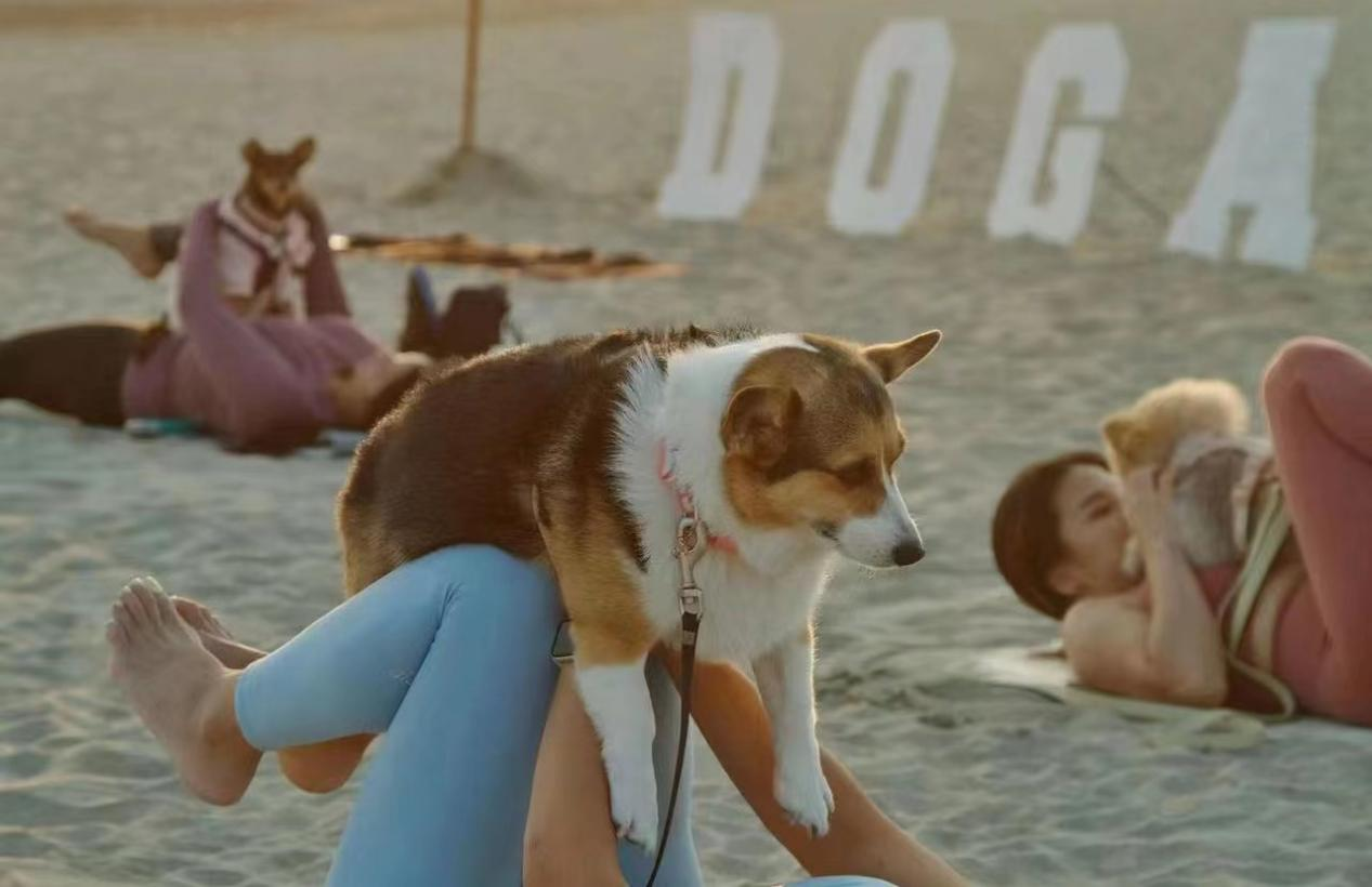 1669963120485173.png image.png