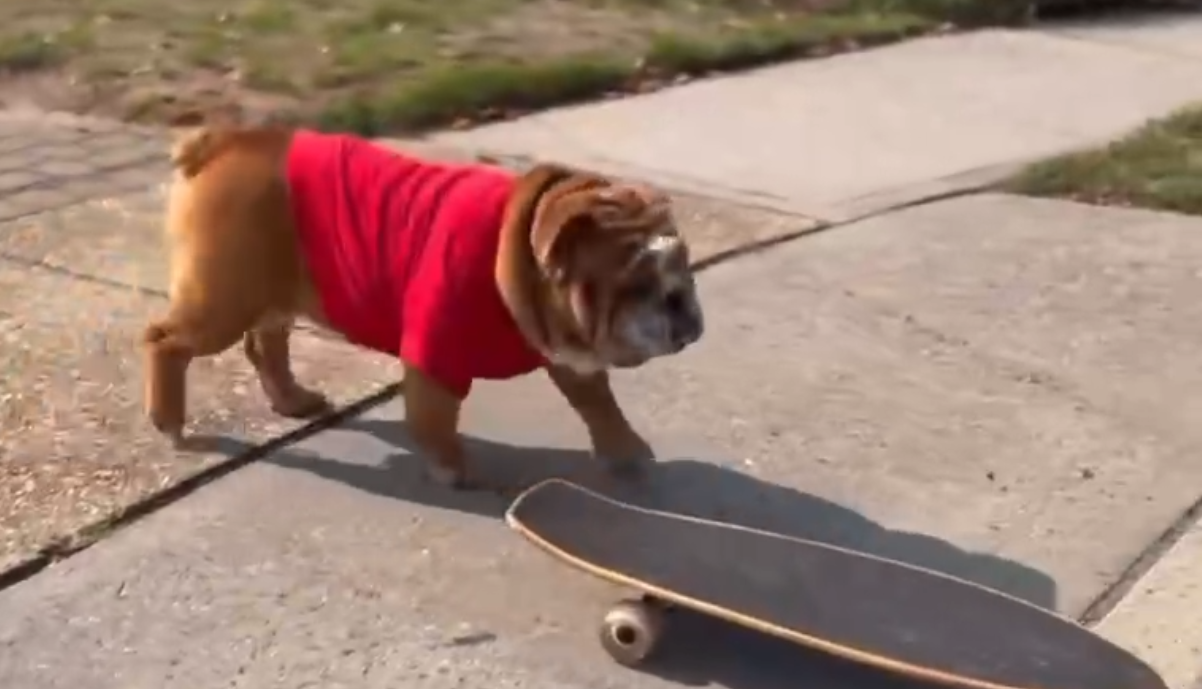 1669963383110000.png image.png