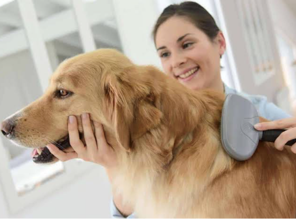 1669963504134503.png image.png