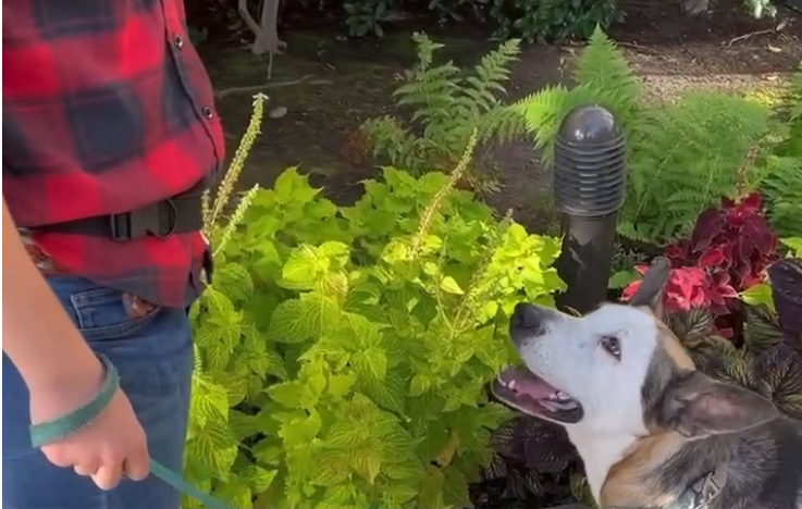 1669963569439179.png image.png