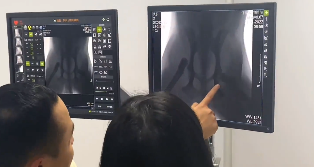 1669963591936355.png image.png