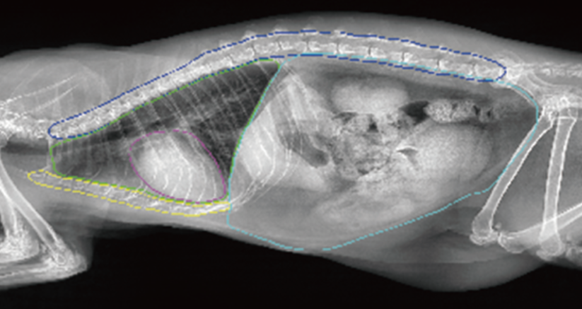 1669963615149044.png image.png