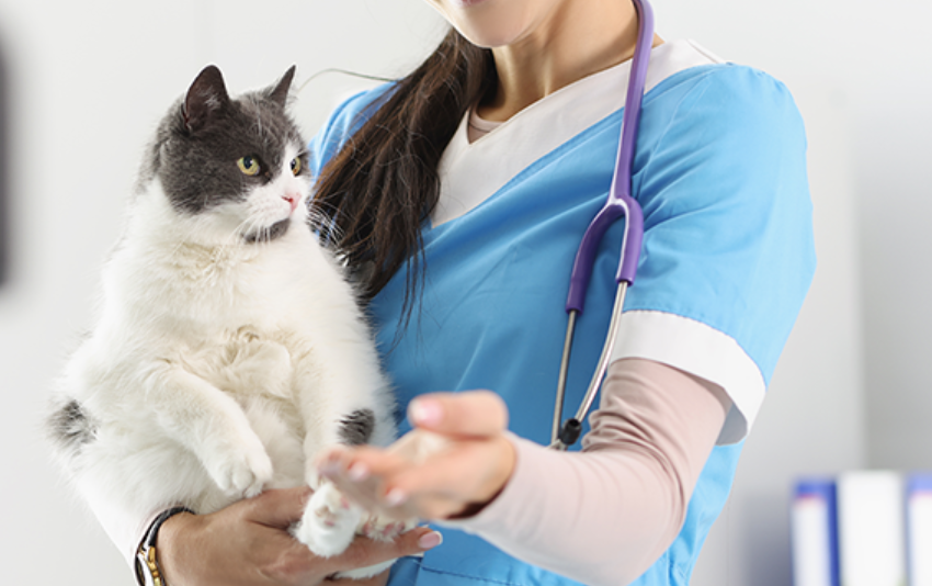 1669963639641040.png image.png