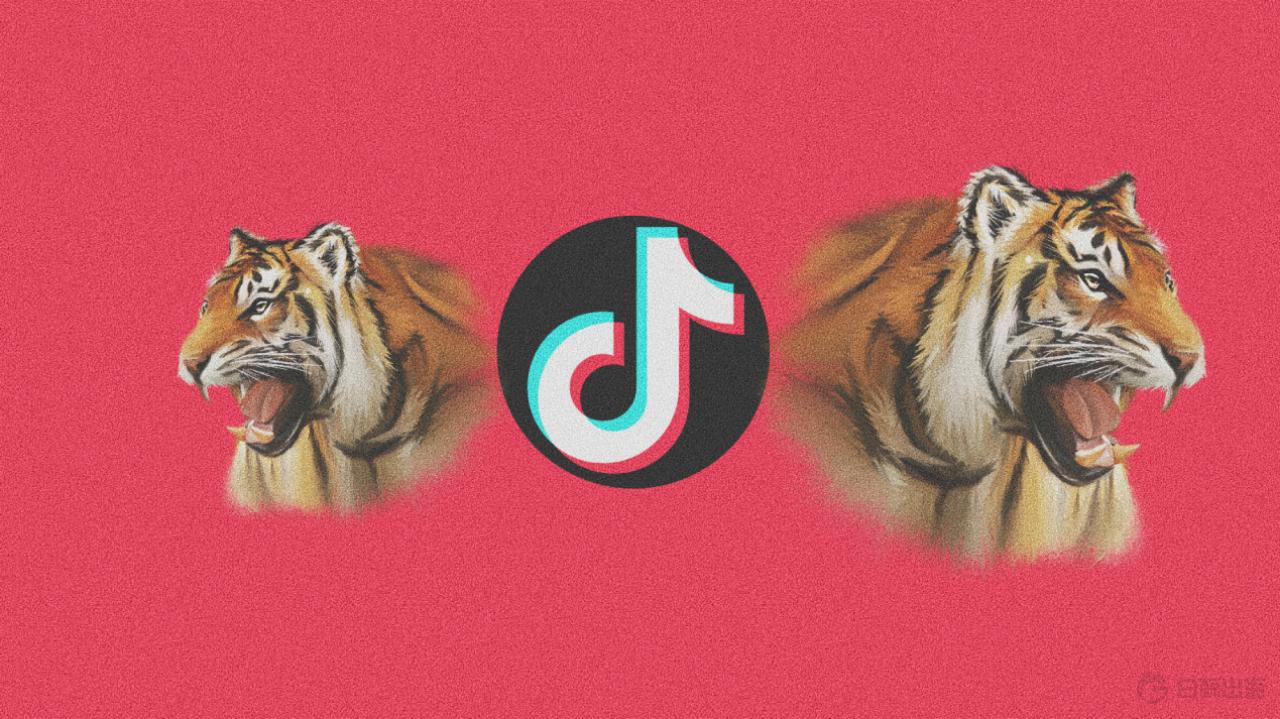 1673868029607391.gif image.gif