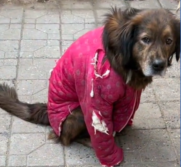 1674036461126420.png 105303049990.png