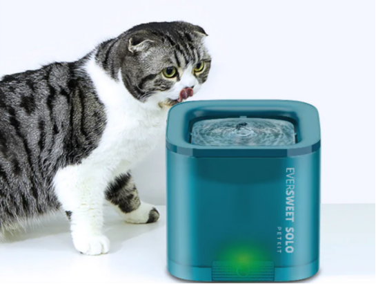 1675824437653807.png image.png