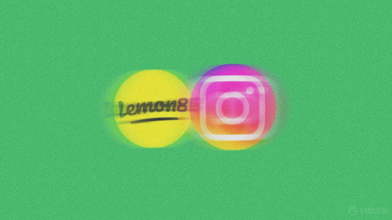 1678367951863270.gif image.gif