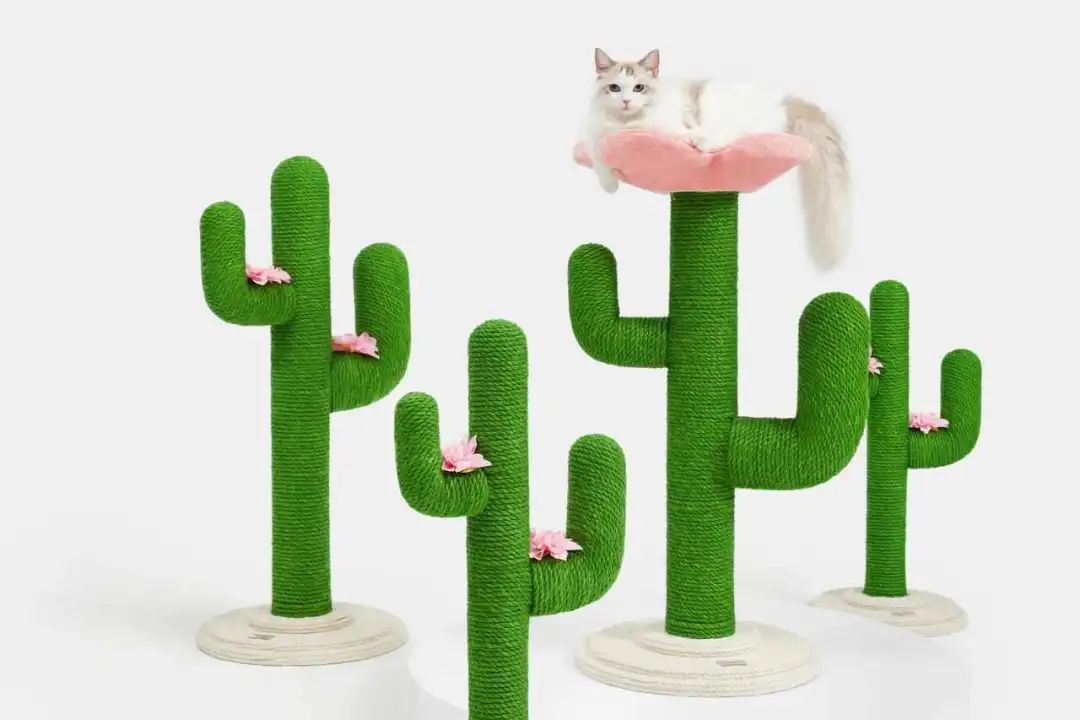 1681985350666357.jpg d 6.jpg