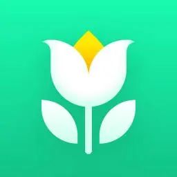 1689661625642082.jpg 在5.jpg