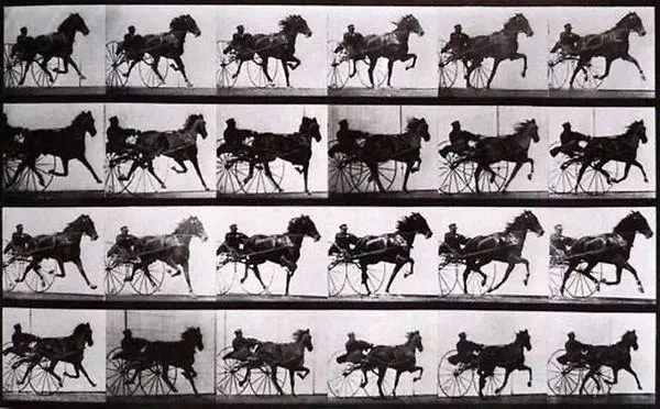 1694682934921527.png 图片1.png