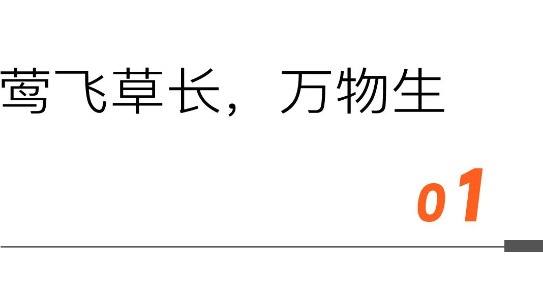 1698827921819870.png 图片2.png