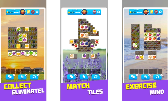 1703507621334293.jpg image017.jpg