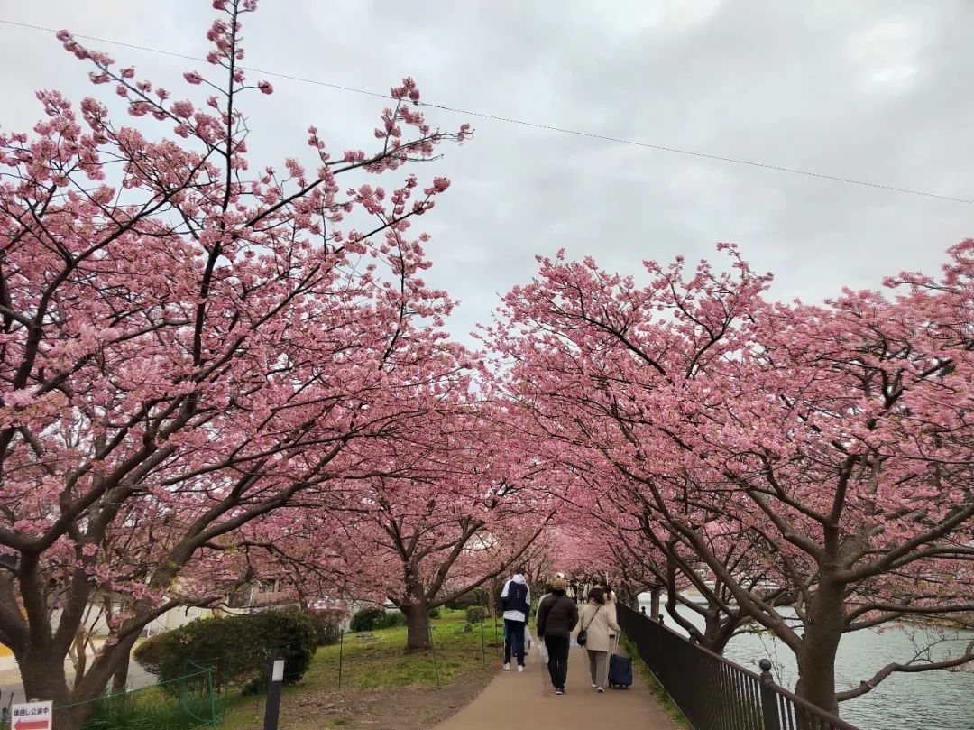 1708600579566394.png image.png