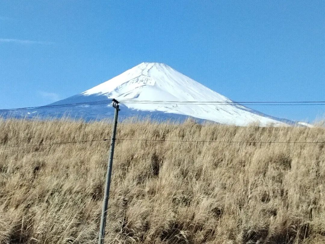 1708600618817398.png image.png