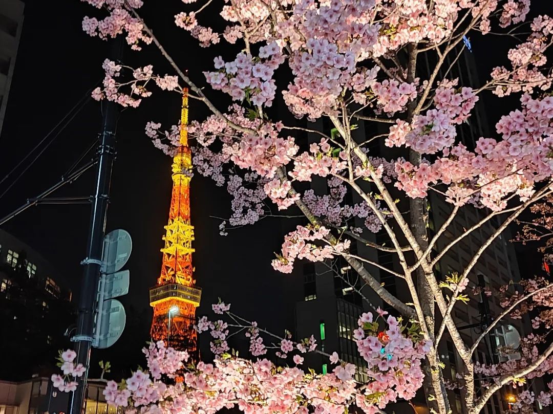 1708600632327900.png image.png