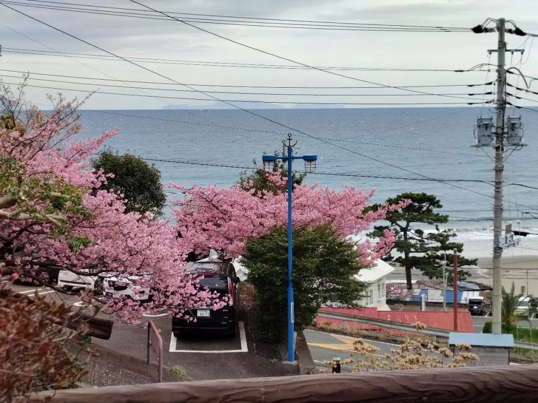 1708600669521536.png image.png