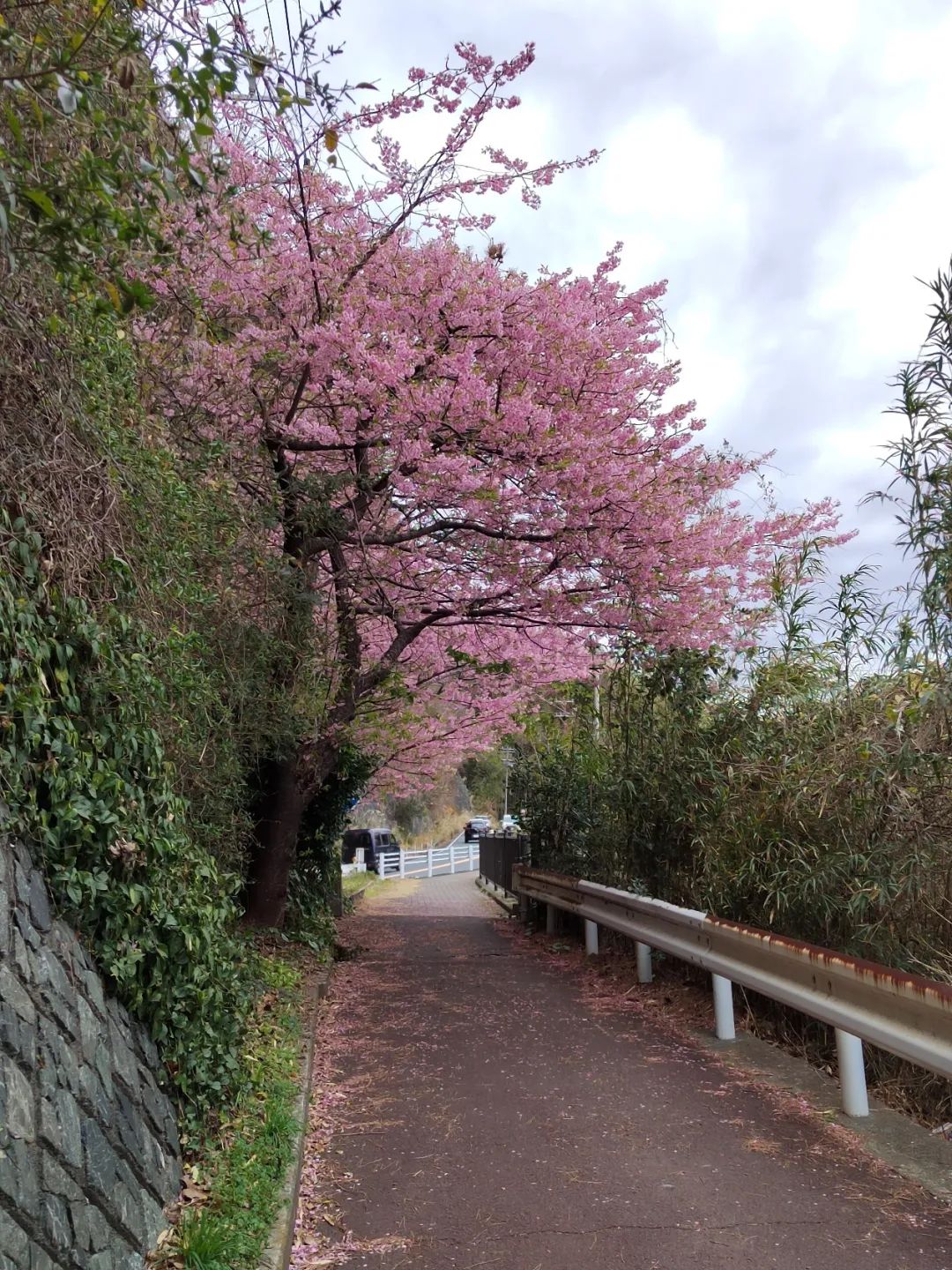 1708600683557030.png image.png