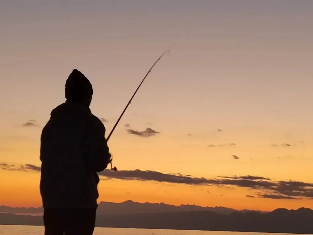 1708600705930579.png image.png