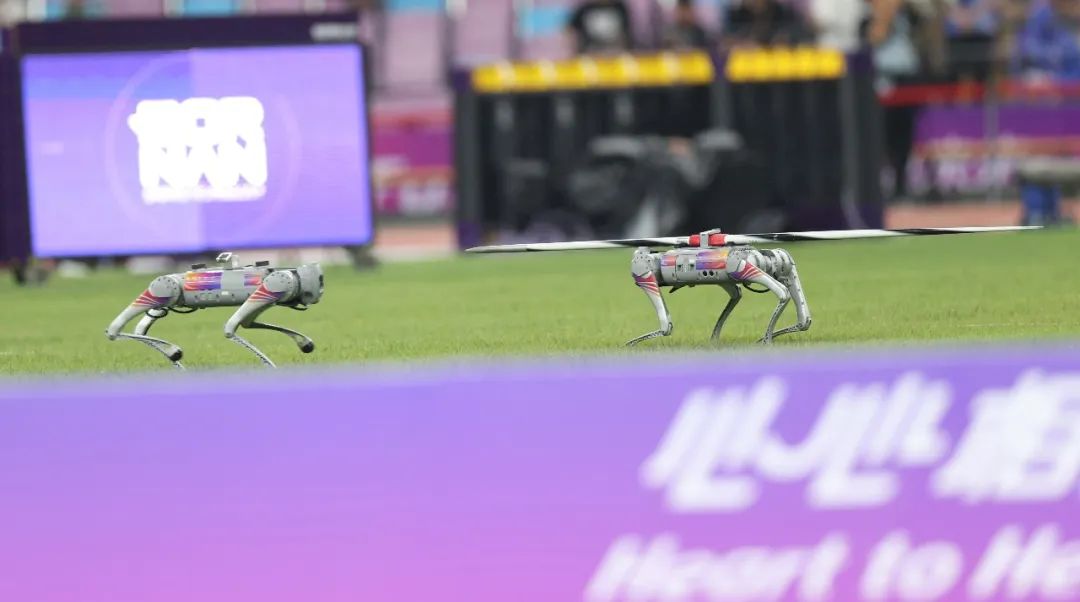 1708692112820300.jpg 在6.jpg