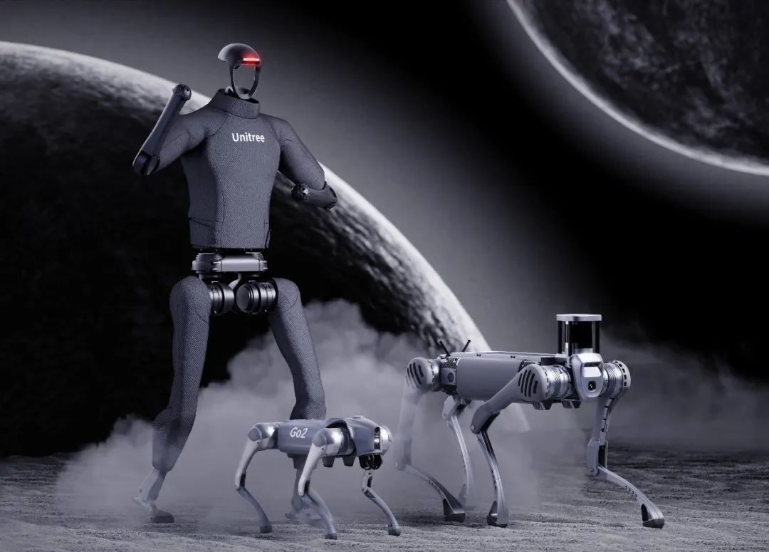 1708692165663717.jpg 是.jpg