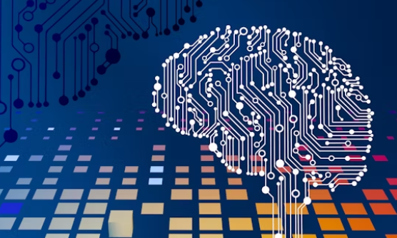 1708692289390372.jpg 1708692232586.jpg