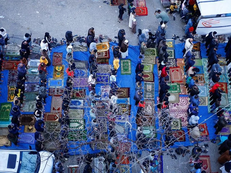 1713162000614374.jpg 在5.webp.jpg