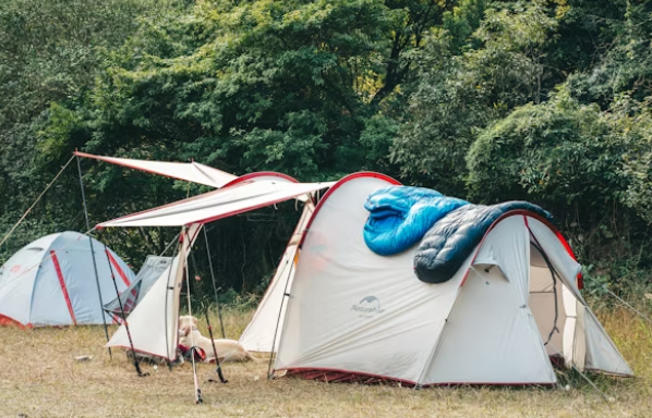 1714026871744891.jpg 1714026833243.jpg