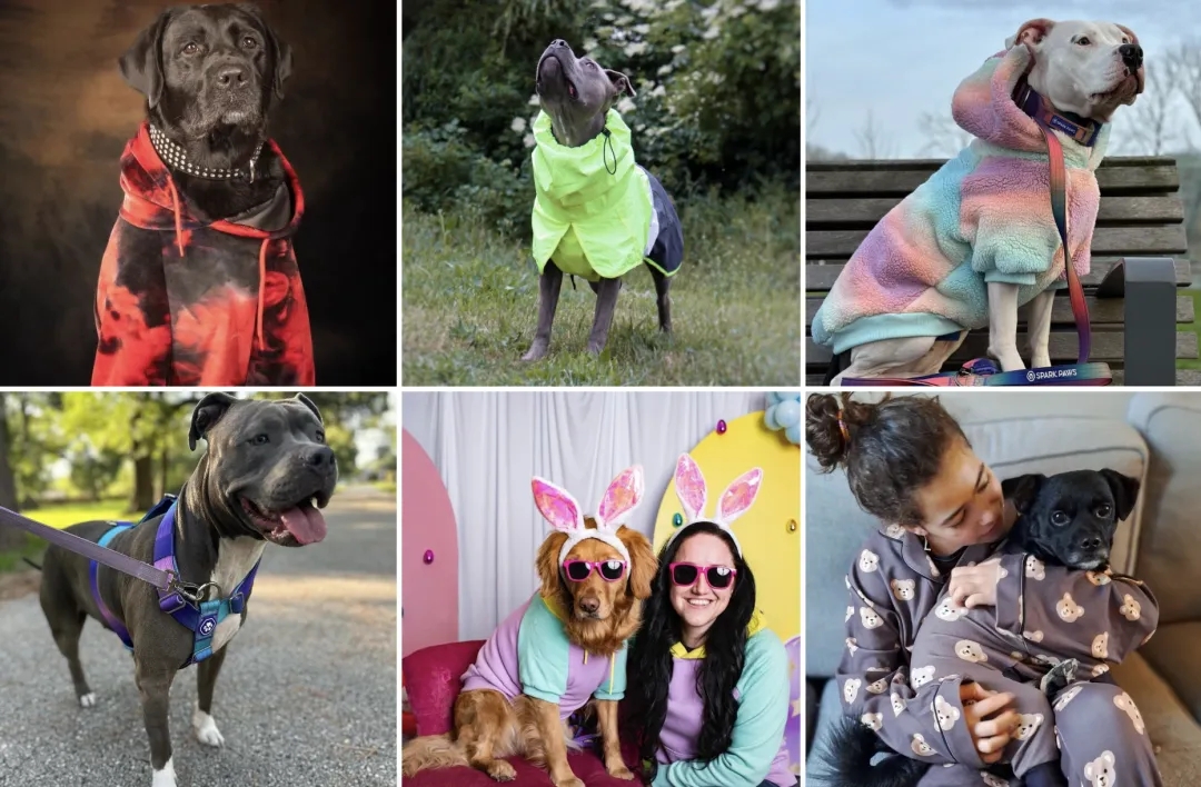 1714982639515218.jpg 在7.webp.jpg