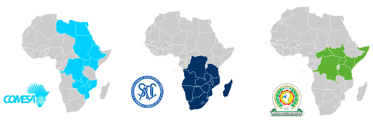 1724914597330741.jpg 1724914601570.jpg