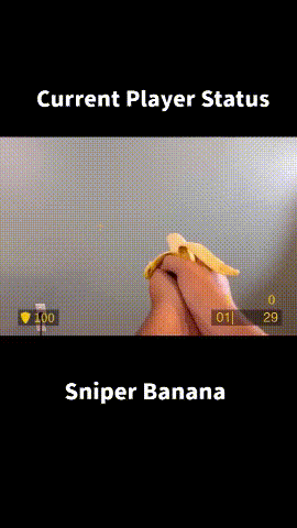 1730804538891358.gif