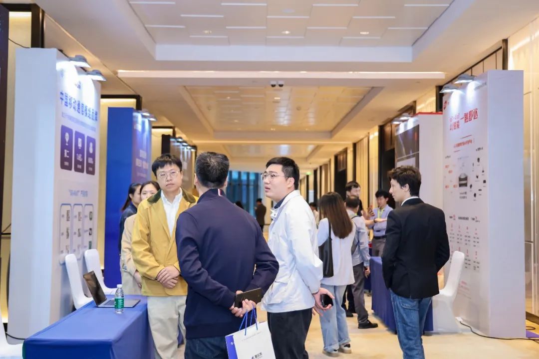 1732528096233108.jpg 10.jpg