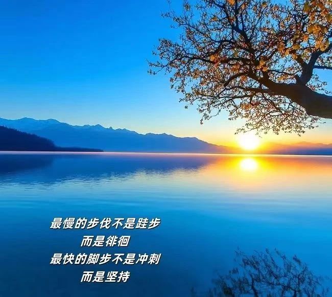 1733738324405302.jpg 微信图片_20241209175834.jpg