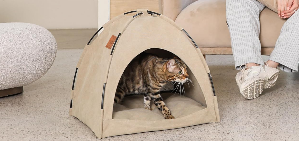 1740043576601901.png 的2.png