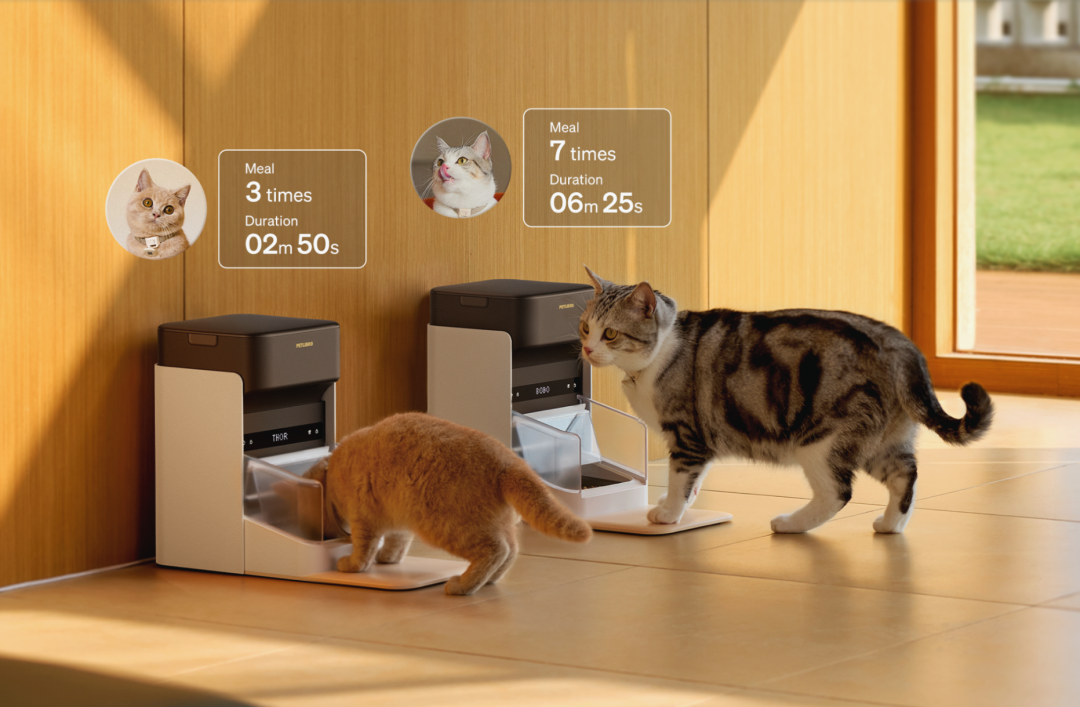 1740561135536718.png 发3.png