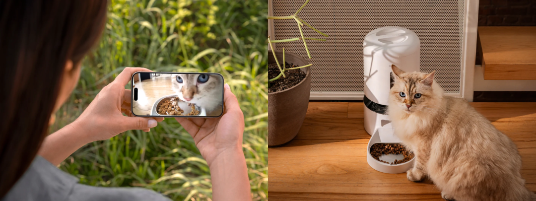 1740561157545110.png 发4.png