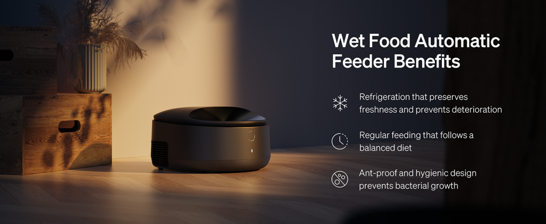 1740561175263373.png 发5.png