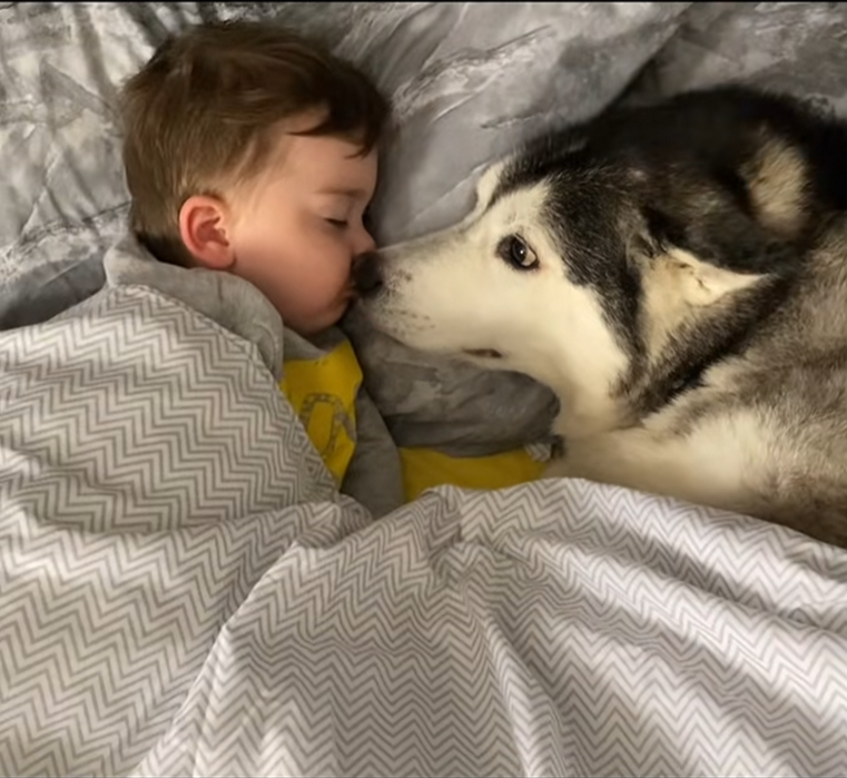 1742371255717929.png 的.png