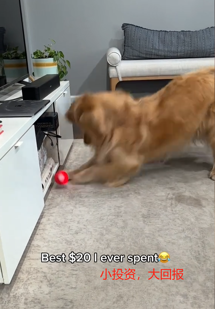 1742371289864510.png 的2.png