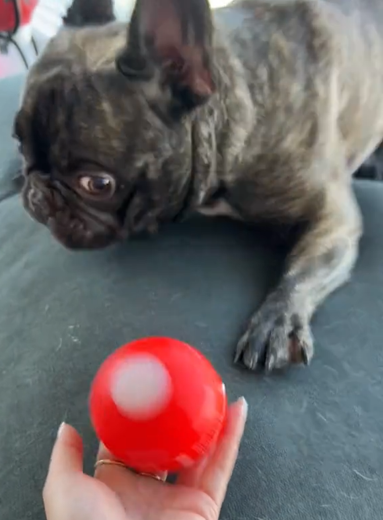 1742371309104359.png 的3.png