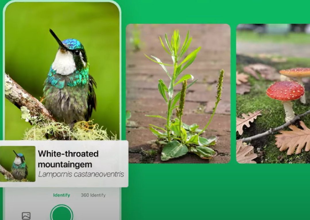 1742556305215225.png 640.png