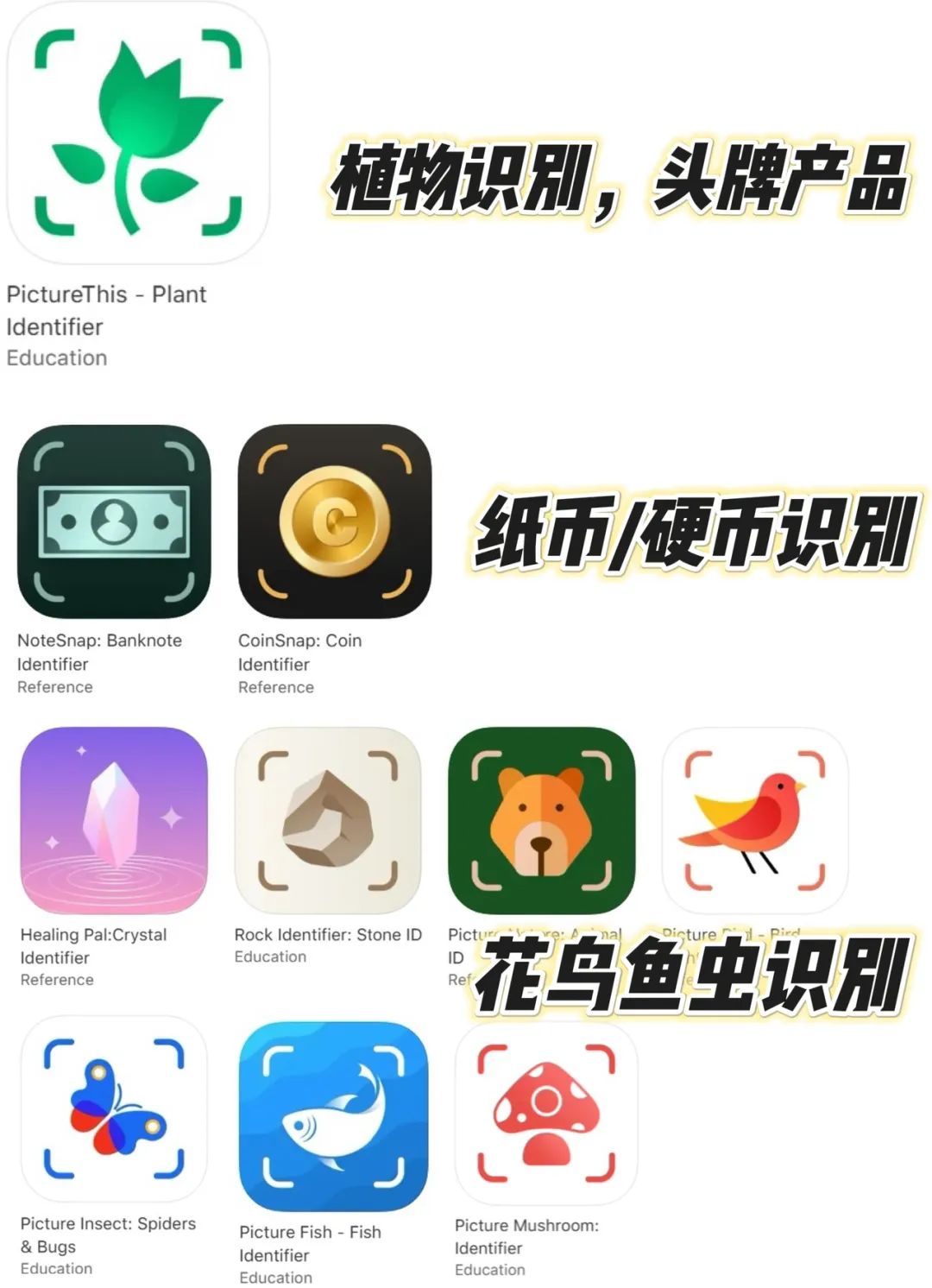 1742556328182587.jpeg 640.jpeg