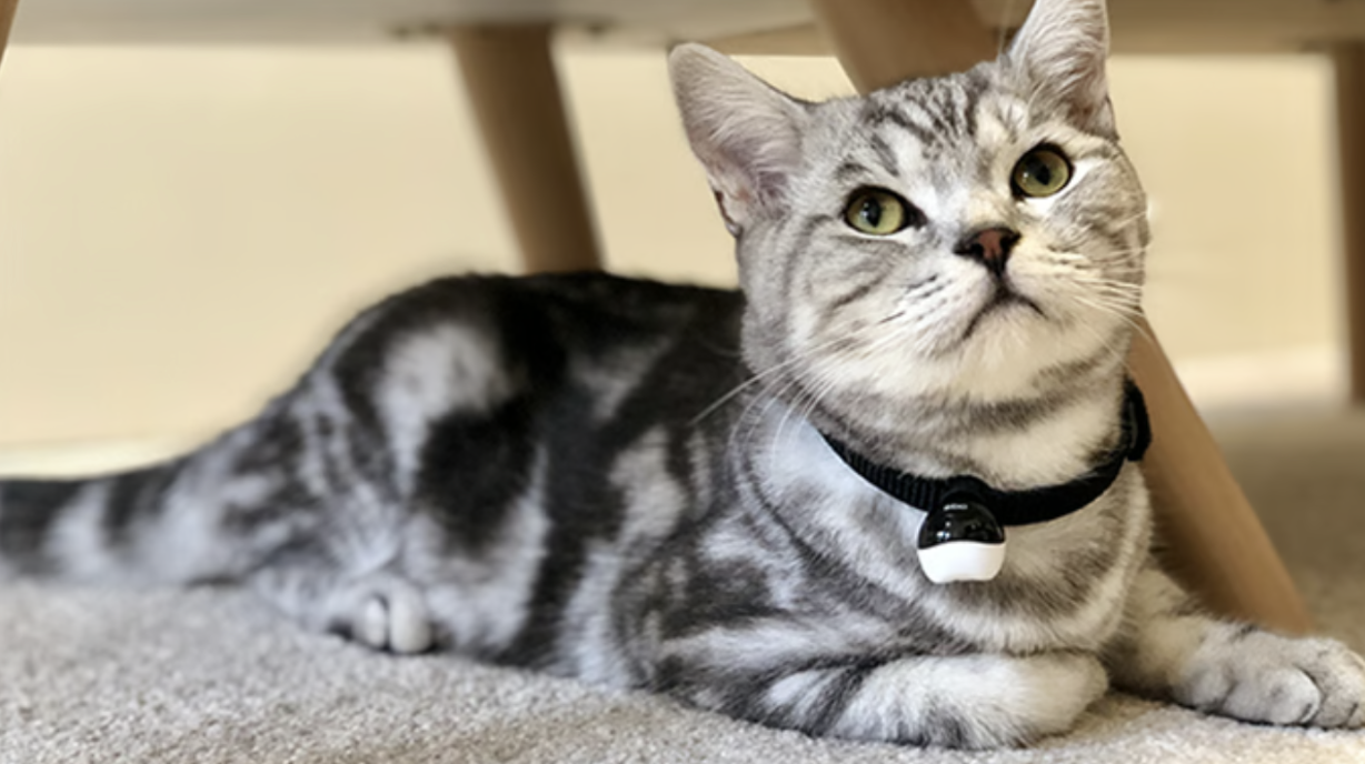 1744009644527236.png 截屏2025-04-07 15.06.02.png